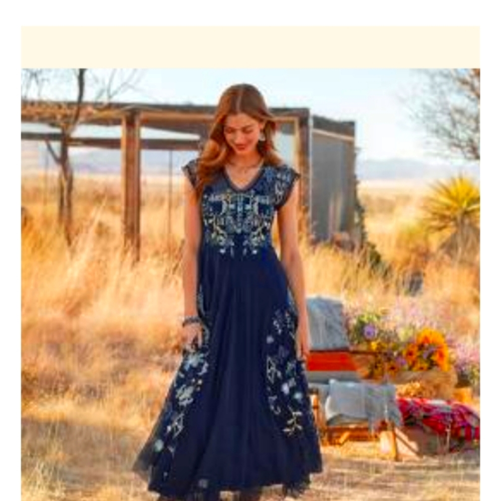 Johnny Was Mesa Mesh dress